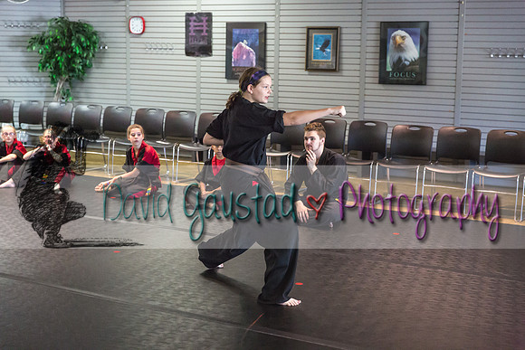 Midwest Professional Karate Black Belt Test 2016