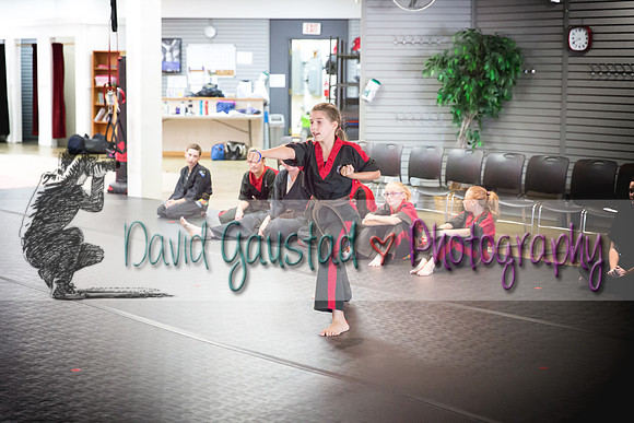 Midwest Professional Karate Black Belt Test 2016