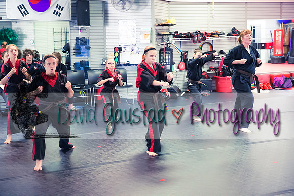 Midwest Professional Karate Black Belt Test 2016