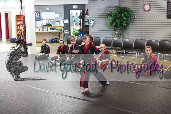 Midwest Professional Karate Black Belt Test 2016