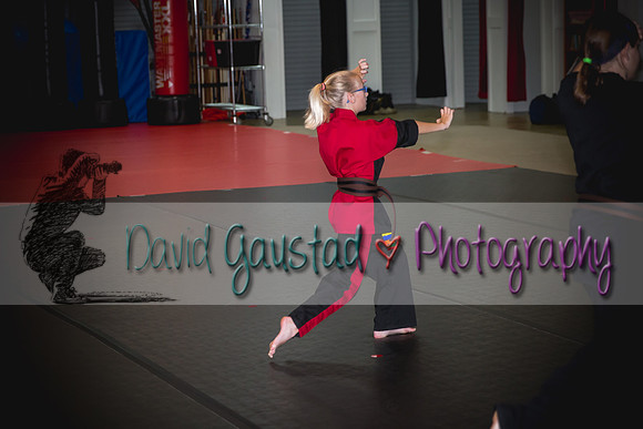 Midwest Professional Karate Black Belt Test 2016