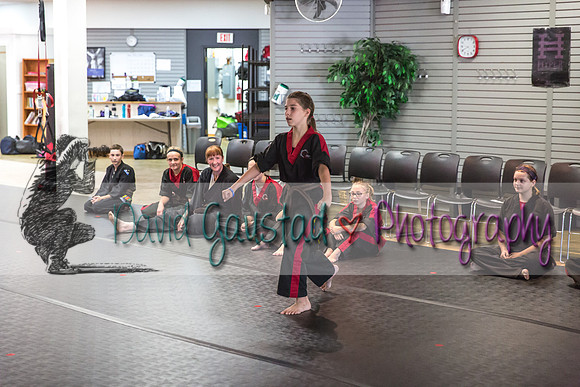 Midwest Professional Karate Black Belt Test 2016