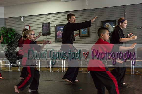 Midwest Professional Karate Black Belt Test 2016