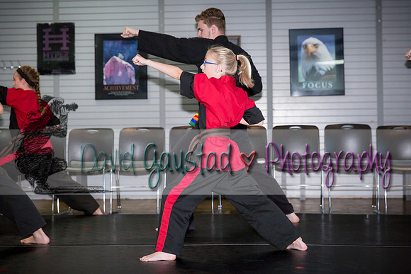 Midwest Professional Karate Black Belt Test 2016