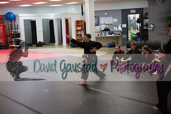 Midwest Professional Karate Black Belt Test 2016