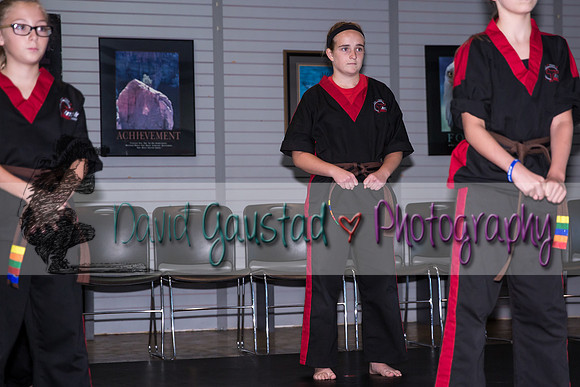 Midwest Professional Karate Black Belt Test 2016