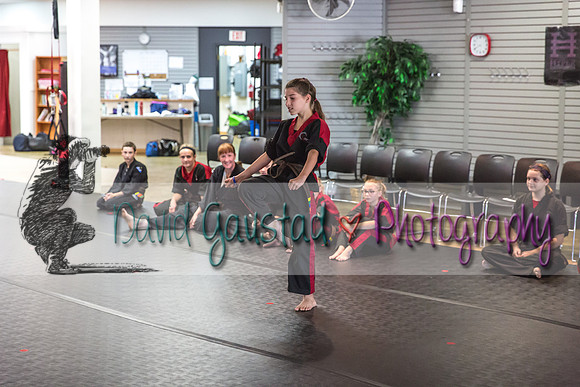 Midwest Professional Karate Black Belt Test 2016