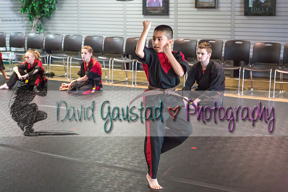 Midwest Professional Karate Black Belt Test 2016