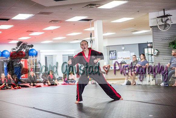 Midwest Professional Karate Black Belt Test 2016