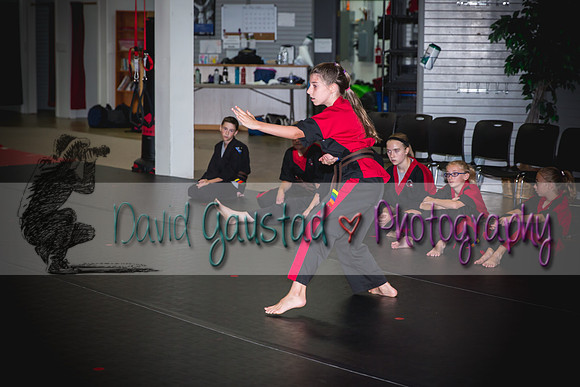 Midwest Professional Karate Black Belt Test 2016