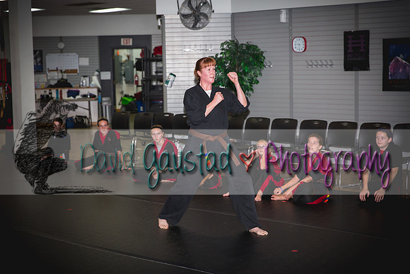 Midwest Professional Karate Black Belt Test 2016