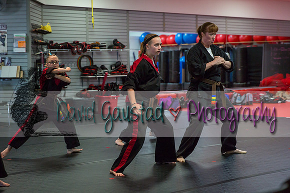 Midwest Professional Karate Black Belt Test 2016