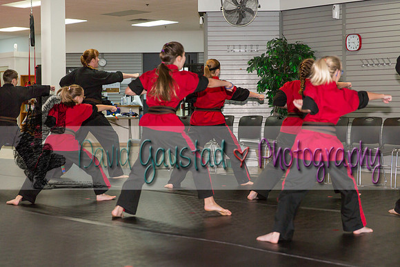 Midwest Professional Karate Black Belt Test 2016