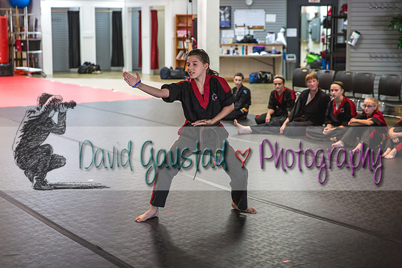 Midwest Professional Karate Black Belt Test 2016