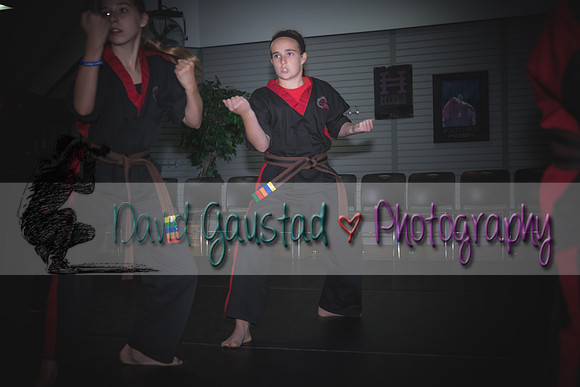 Midwest Professional Karate Black Belt Test 2016