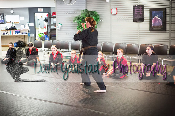 Midwest Professional Karate Black Belt Test 2016