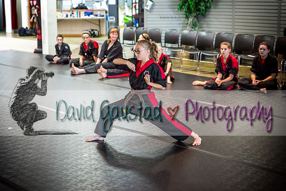 Midwest Professional Karate Black Belt Test 2016