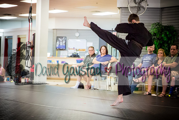 Midwest Professional Karate Black Belt Test 2016