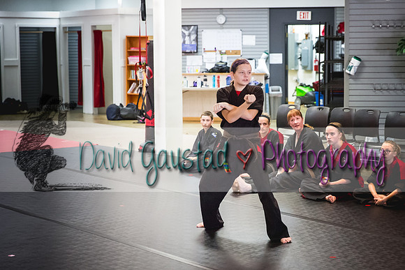 Midwest Professional Karate Black Belt Test 2016