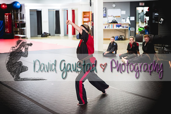 Midwest Professional Karate Black Belt Test 2016