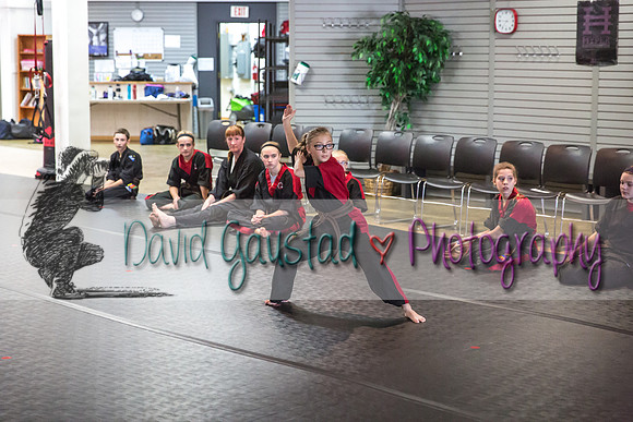 Midwest Professional Karate Black Belt Test 2016