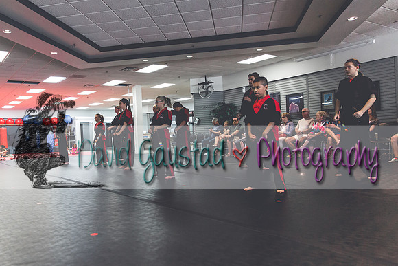 Midwest Professional Karate Black Belt Test 2016