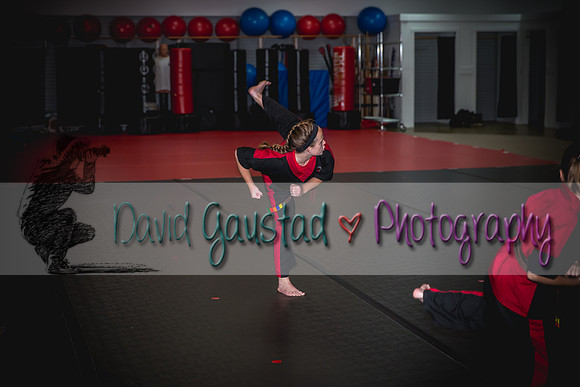 Midwest Professional Karate Black Belt Test 2016