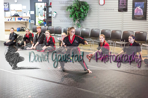 Midwest Professional Karate Black Belt Test 2016