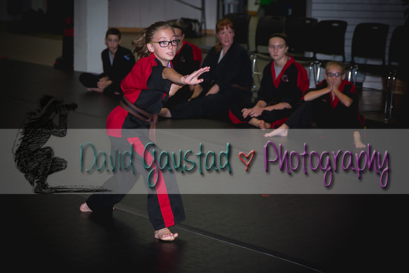 Midwest Professional Karate Black Belt Test 2016