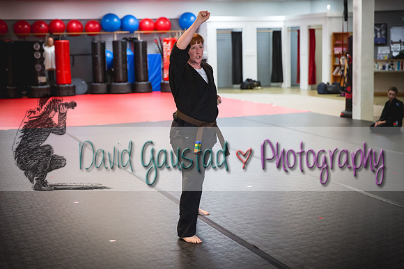 Midwest Professional Karate Black Belt Test 2016