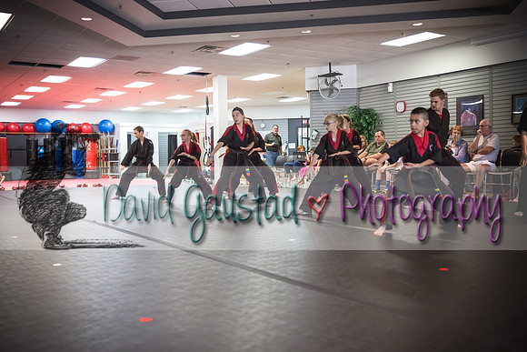 Midwest Professional Karate Black Belt Test 2016
