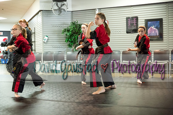 Midwest Professional Karate Black Belt Test 2016