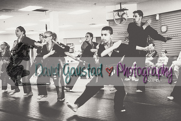Midwest Professional Karate Black Belt Test 2016