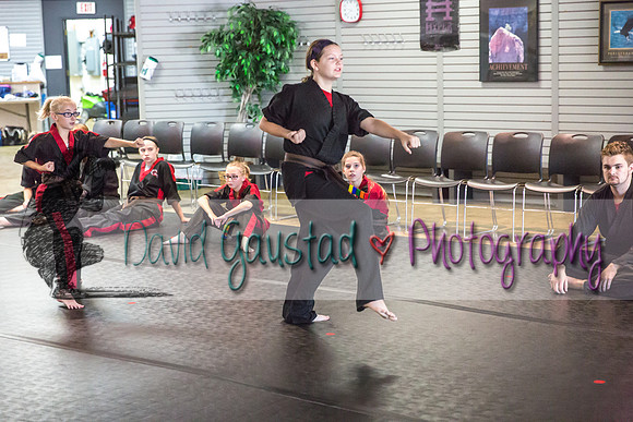 Midwest Professional Karate Black Belt Test 2016