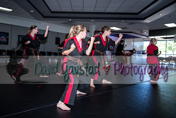 Midwest Professional Karate Black Belt Test 2016