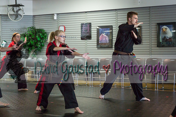 Midwest Professional Karate Black Belt Test 2016