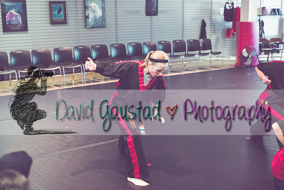 Midwest Professional Karate Black Belt Test 2016