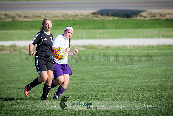 DeForest Norski soccer vs Rock on 5/21/2016