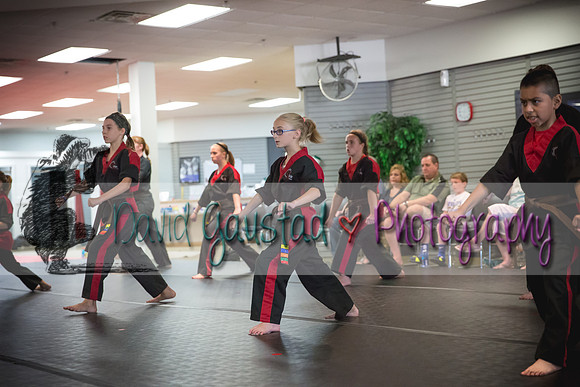 Midwest Professional Karate Black Belt Test 2016