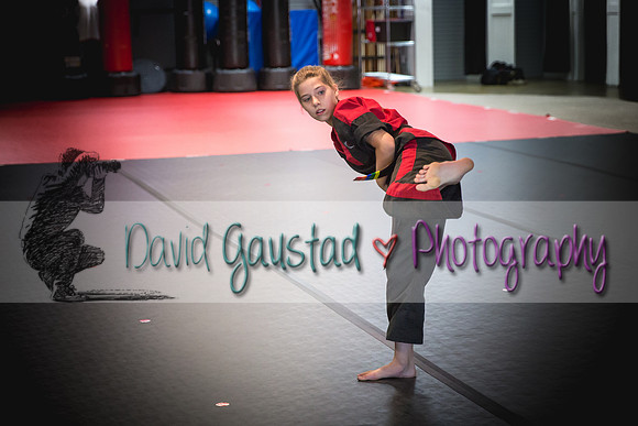 Midwest Professional Karate Black Belt Test 2016