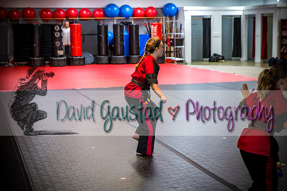 Midwest Professional Karate Black Belt Test 2016