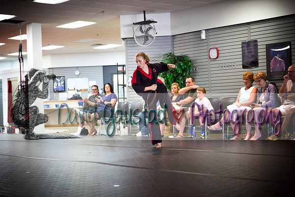 Midwest Professional Karate Black Belt Test 2016