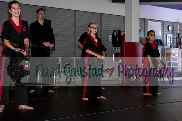 Midwest Professional Karate Black Belt Test 2016