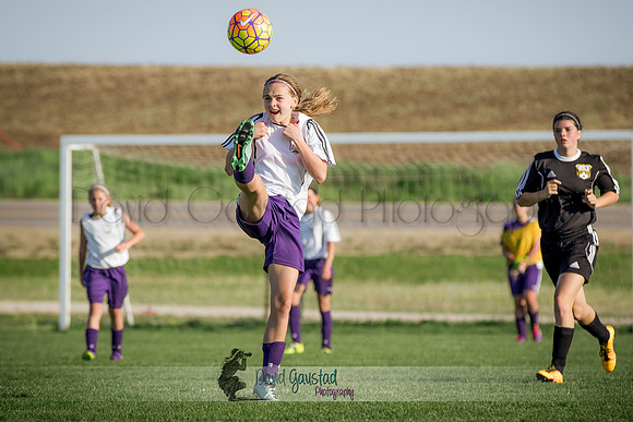 DeForest Norski soccer vs Rock on 5/21/2016