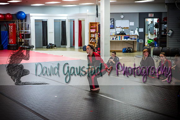 Midwest Professional Karate Black Belt Test 2016