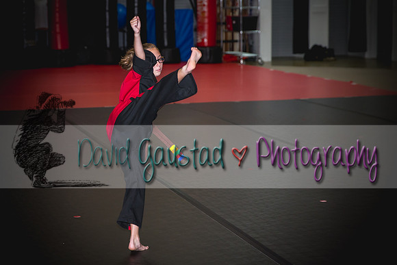 Midwest Professional Karate Black Belt Test 2016