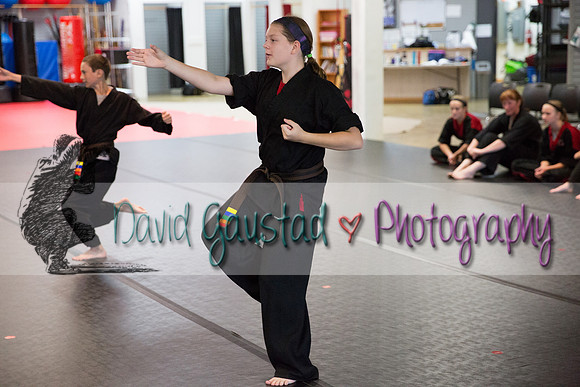 Midwest Professional Karate Black Belt Test 2016