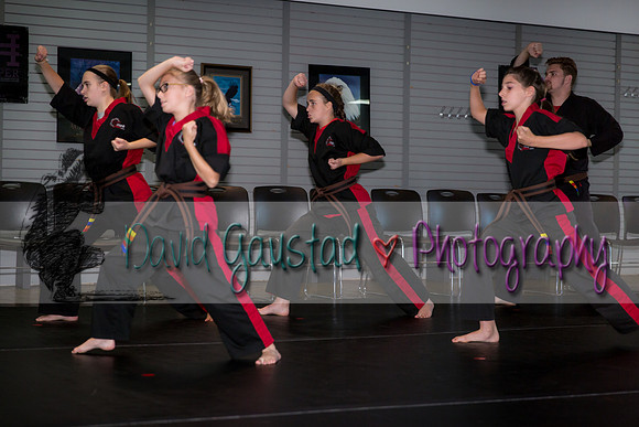 Midwest Professional Karate Black Belt Test 2016