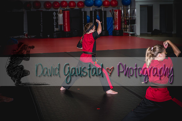 Midwest Professional Karate Black Belt Test 2016
