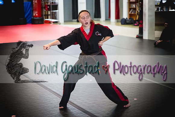 Midwest Professional Karate Black Belt Test 2016